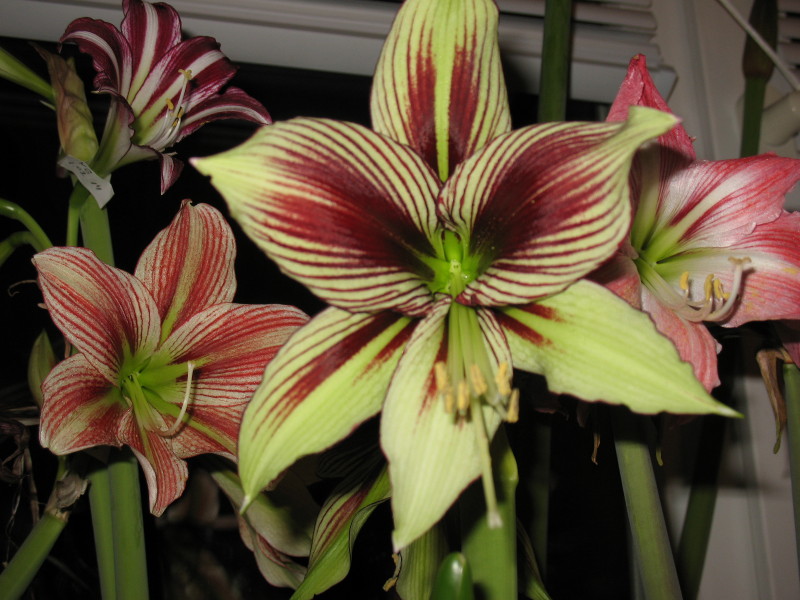 Изображение 191_1.jpg