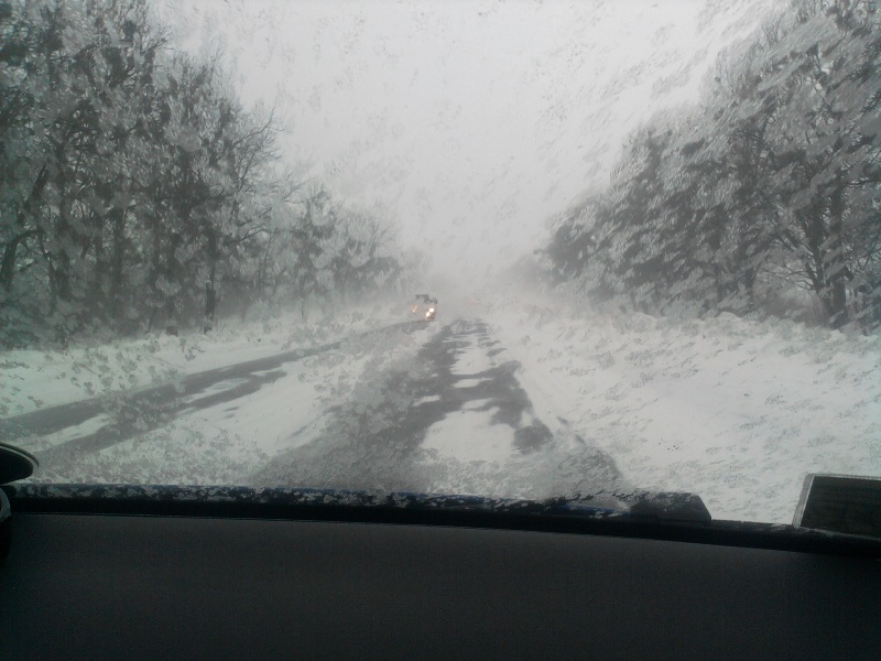 каталог 2765.jpg