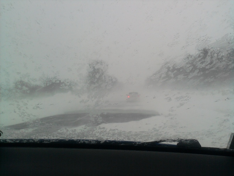 каталог 2767.jpg