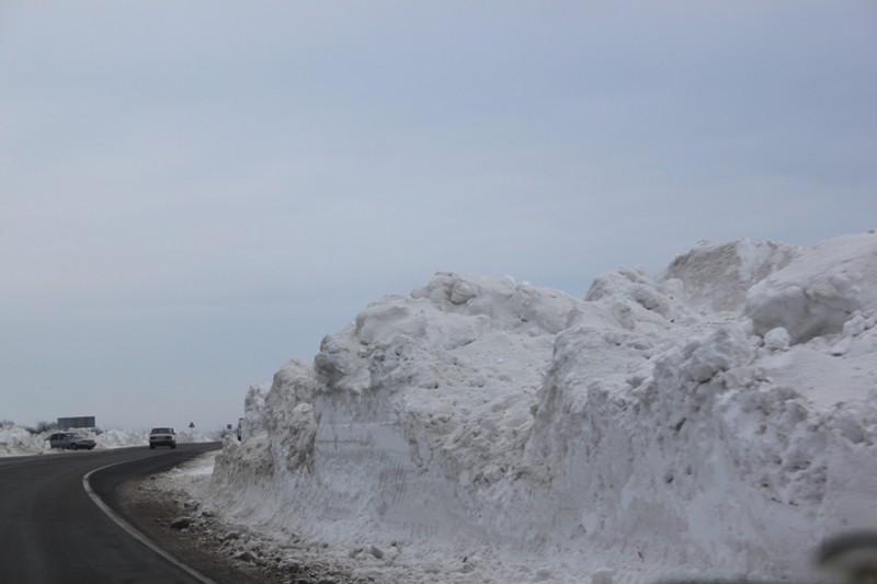 каталог 2878.jpg