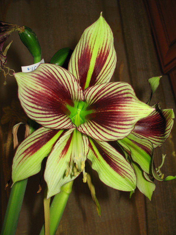 Изображение 291.jpg