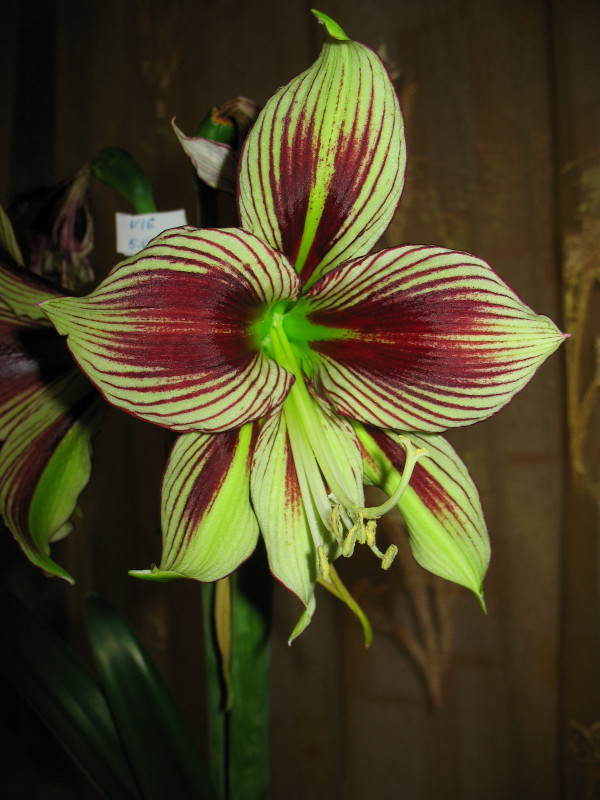 Изображение 293.jpg