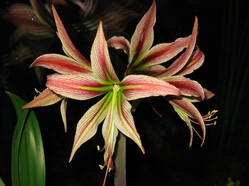 Изображение 329.jpg