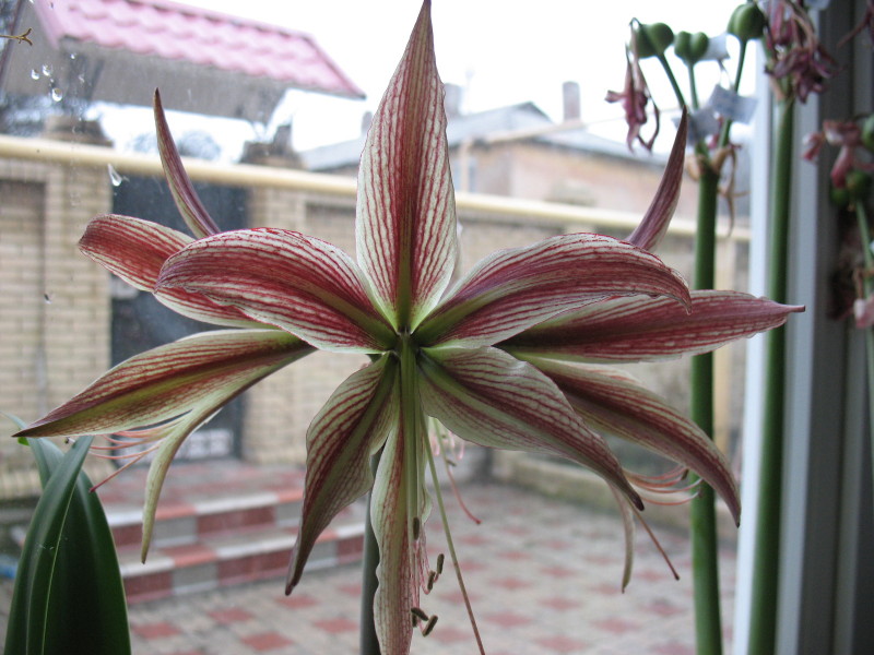 Изображение 335.jpg