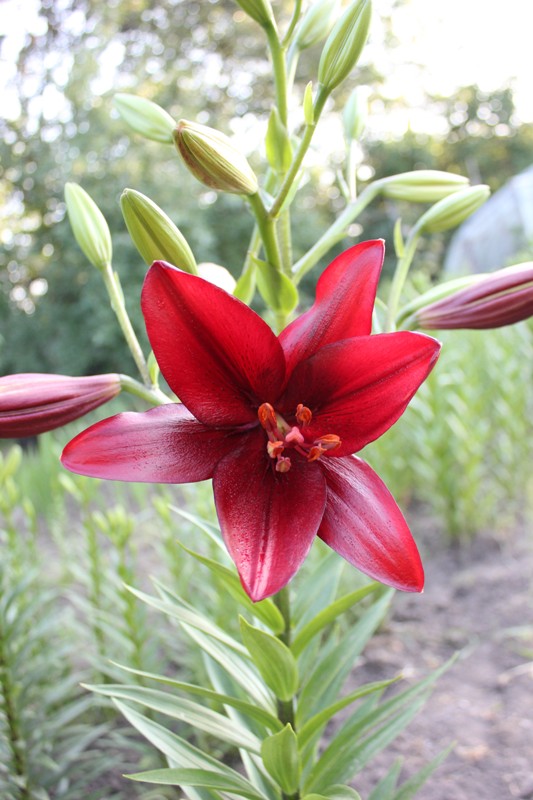 Изображение 417.jpg