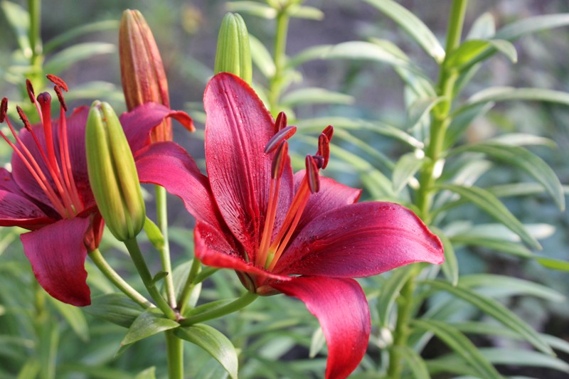 Изображение 455.jpg