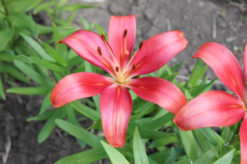 Изображение 548.jpg