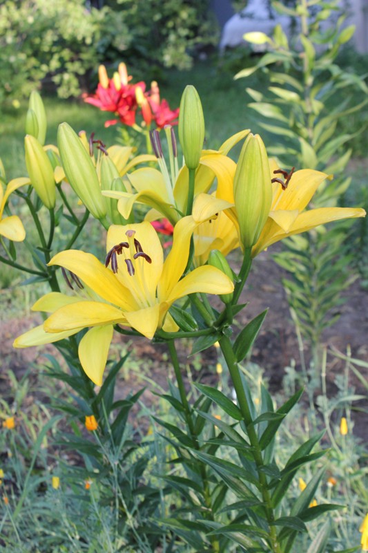 Изображение 614.jpg