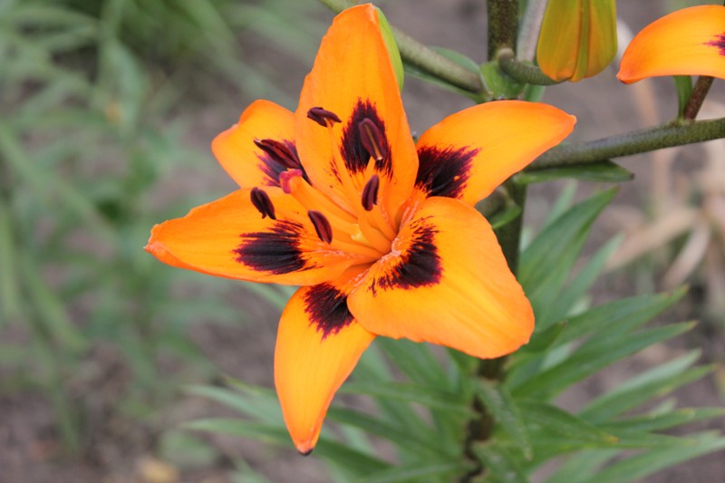 Изображение 732.jpg