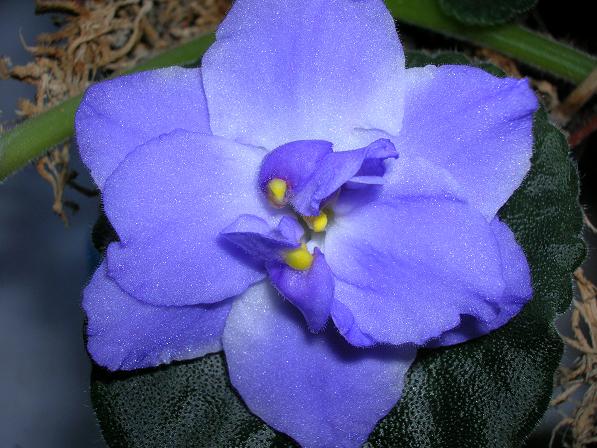 берега 002.jpg