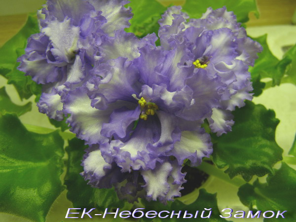 -Небесный Замок1.jpg