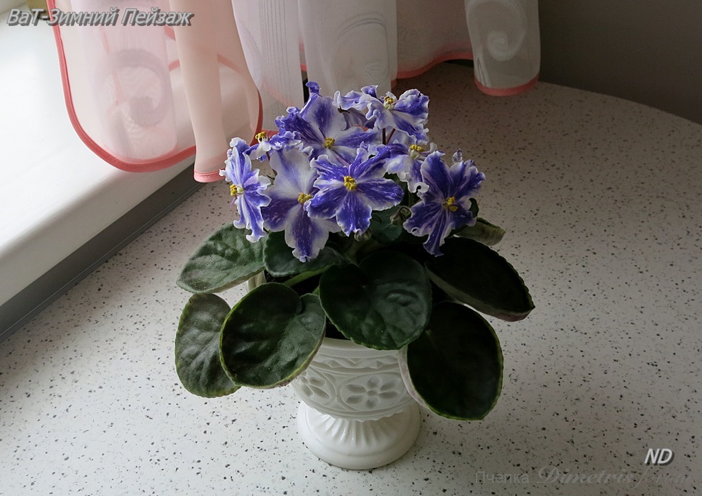 -Зимний Пейзаж2.JPG