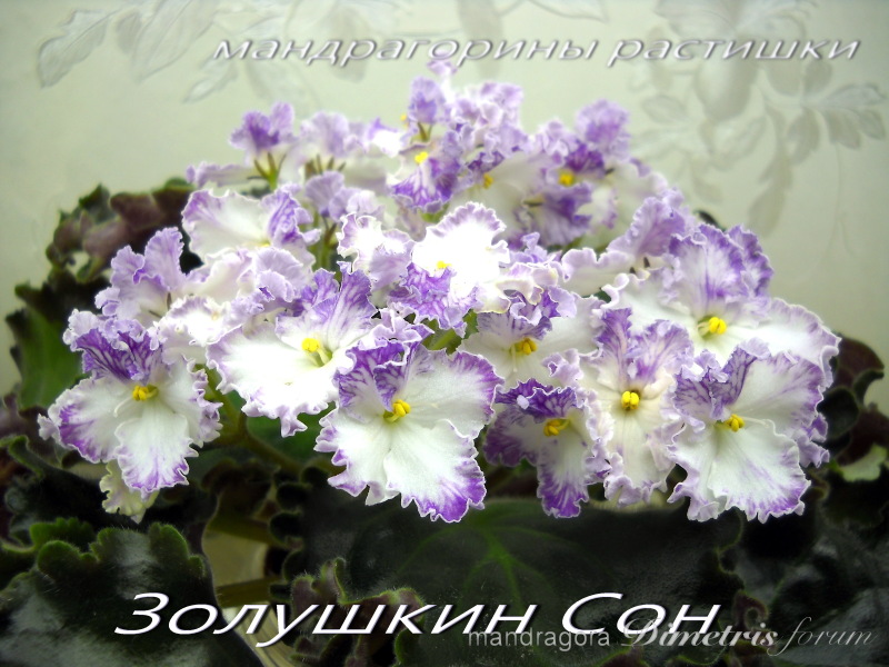 Золушкин Сон 3.jpg