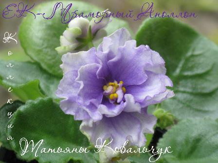 -Мраморный Апполон 1.jpg