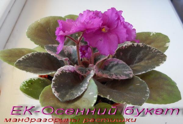 -Осенний букет 3.jpg