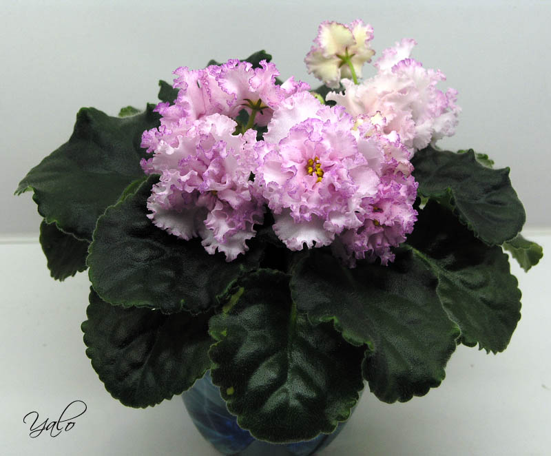 ЛЕ-Турмалиновое Колье.jpg