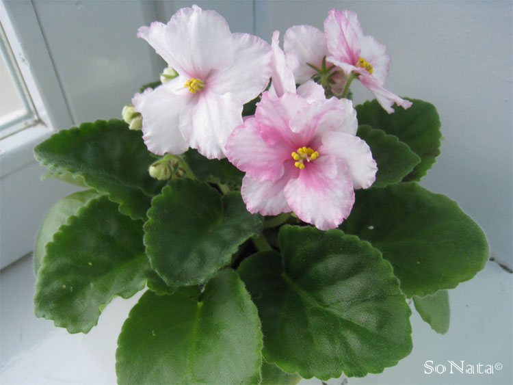 -Людмила-спорт 1.jpg