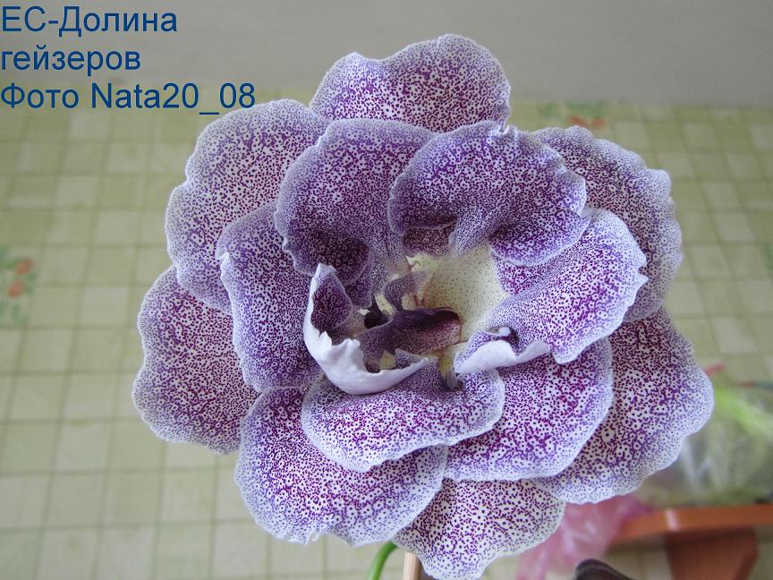 -Долина гейзеров+.JPG