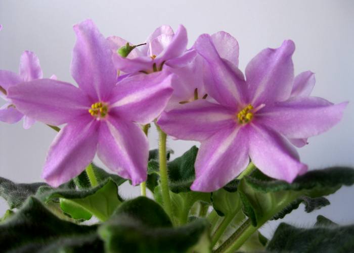 Копия IMG_1312.jpg