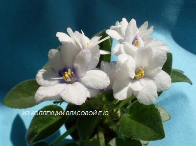 Копия SDC14160.JPG