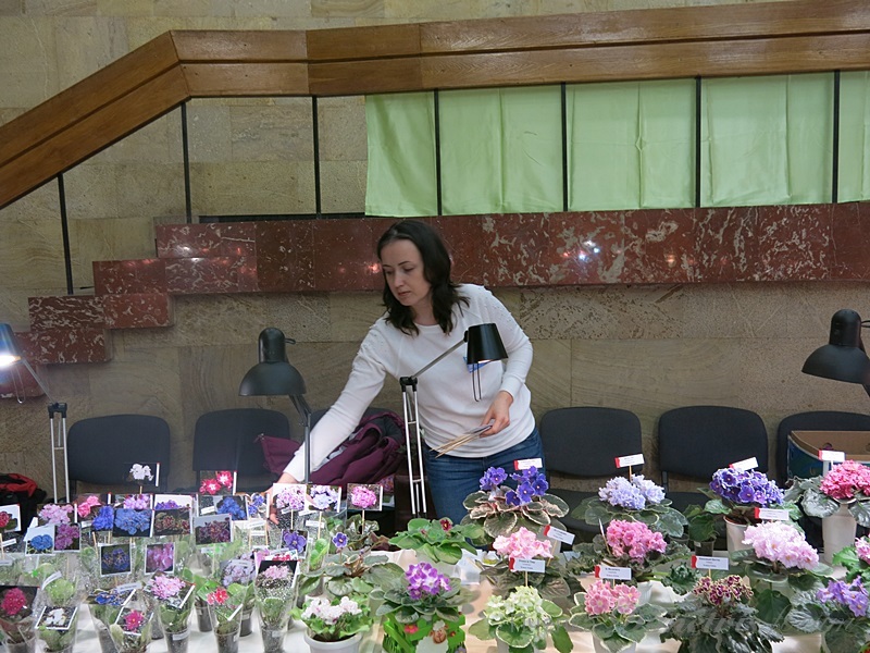 Лена Коваль1.JPG