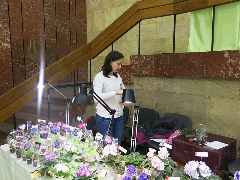 Лена Коваль.JPG