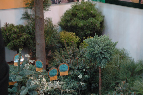 -АПРЕЛЬ 2009 092.jpg