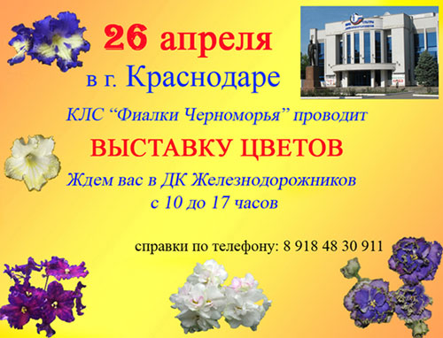 -1.jpg