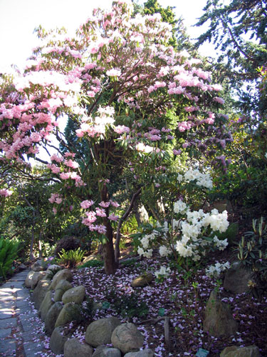 Botanic_10.jpg