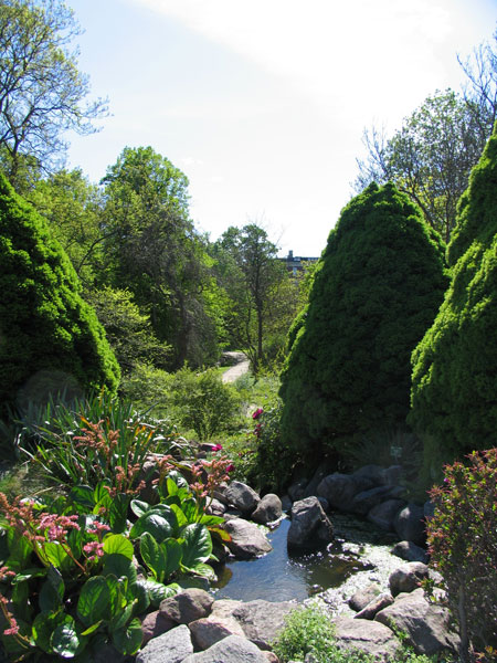 Botanic_2.jpg