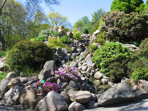 Botanic_4.jpg