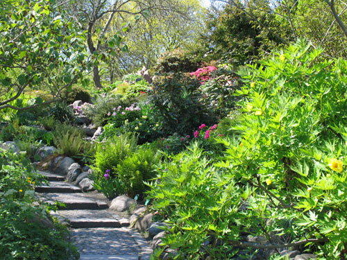 Botanic_5.jpg