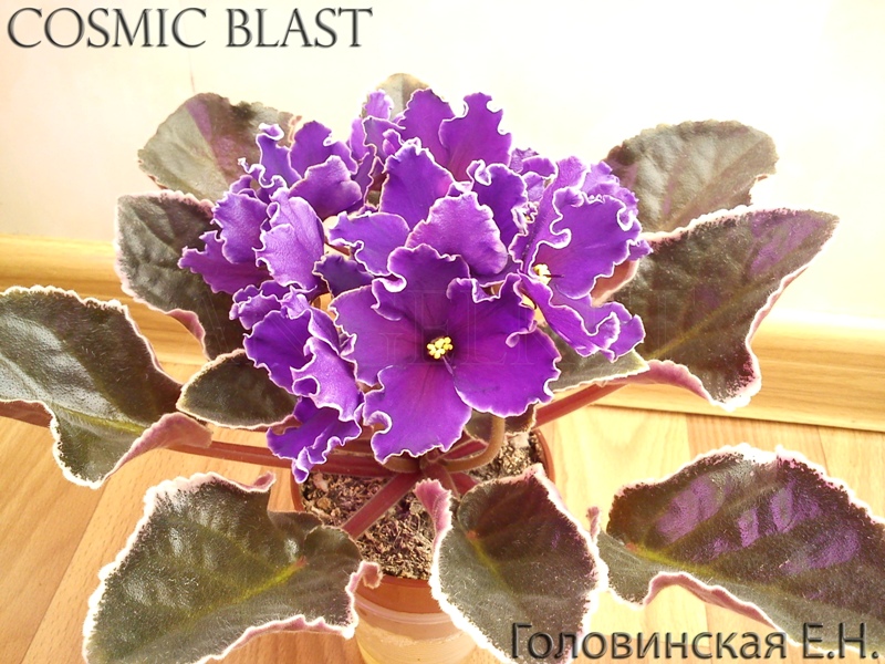 Cosmic Blast.jpg