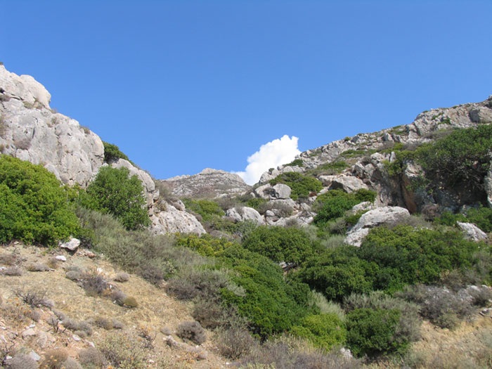 Creta_gori_1.jpg