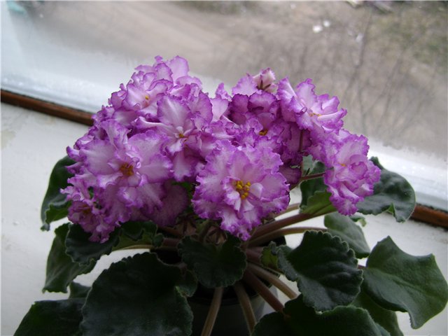 d8fd1e53e445.jpg