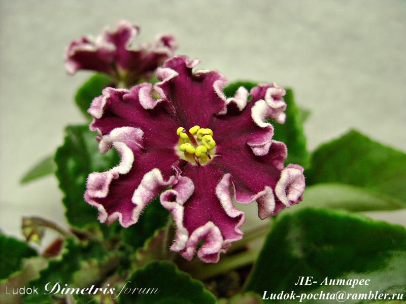 DSC00051-1.JPG
