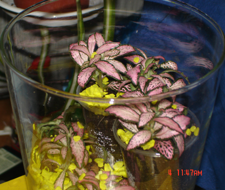 DSC00620.jpg