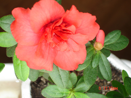 DSC00626.jpg