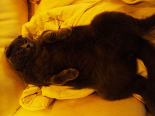 DSC00654.JPG