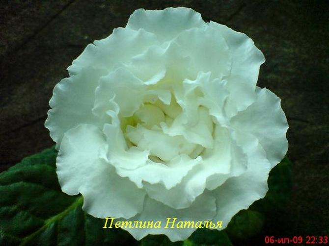 DSC00830.JPG