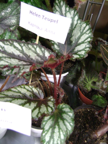 DSC01218.JPG