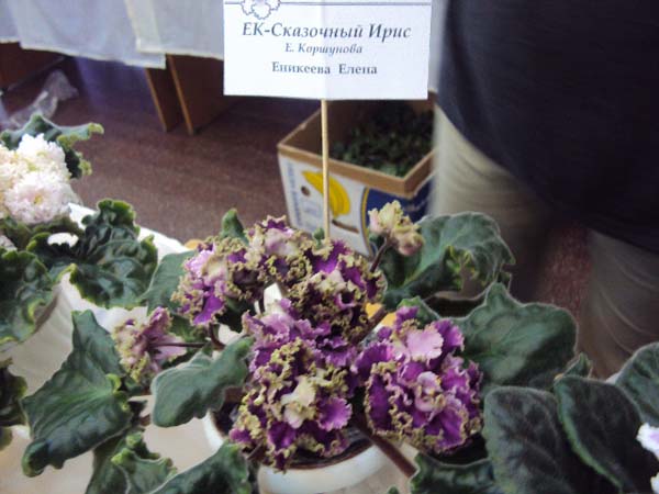 DSC02126.JPG