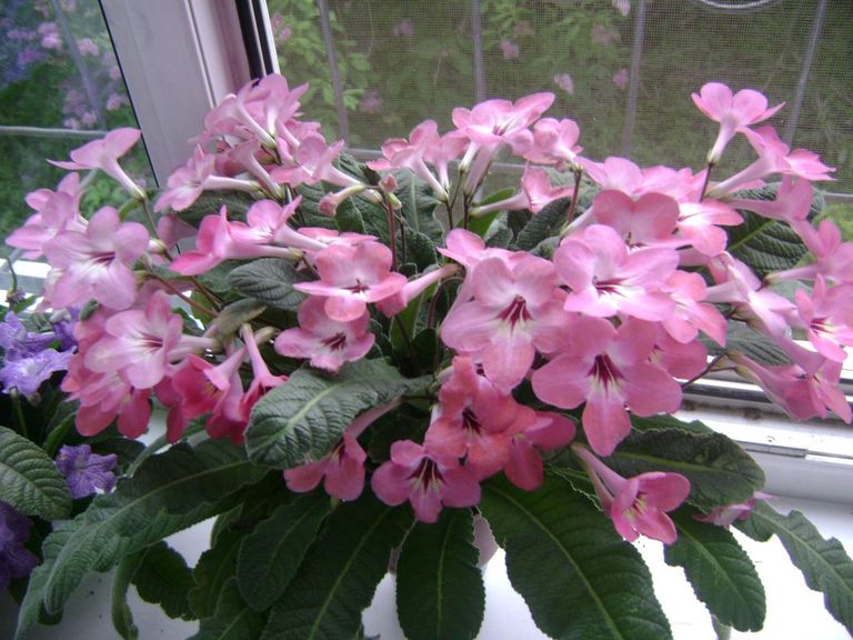 DSC03021.JPG