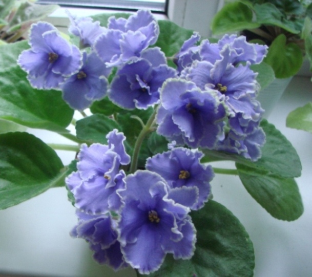DSC03638.JPG