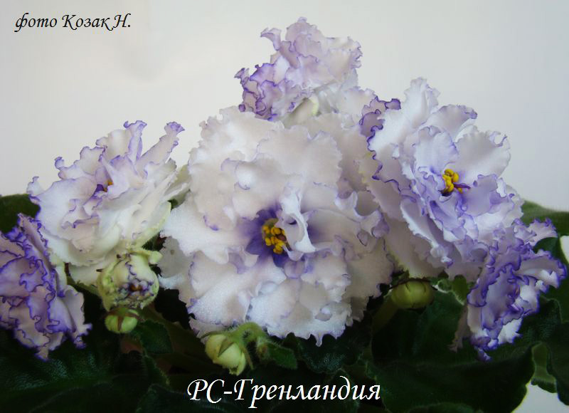 DSC04376.jpg