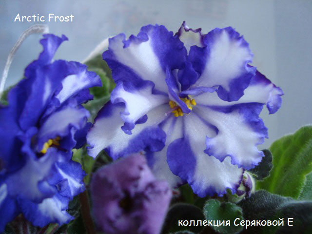 DSC05876.JPG