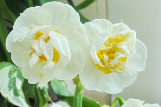 DSC08265.JPG