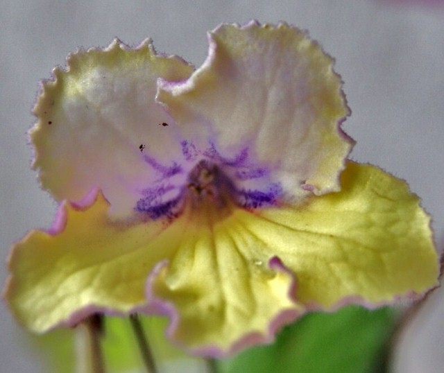 DSC09962 (640x538).jpg