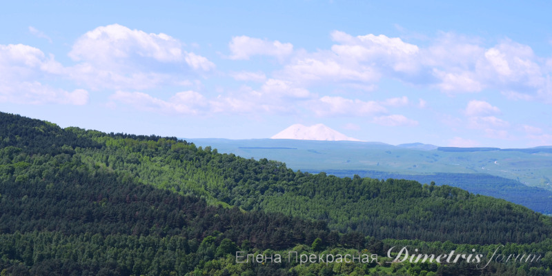 DSC_0140а.jpg