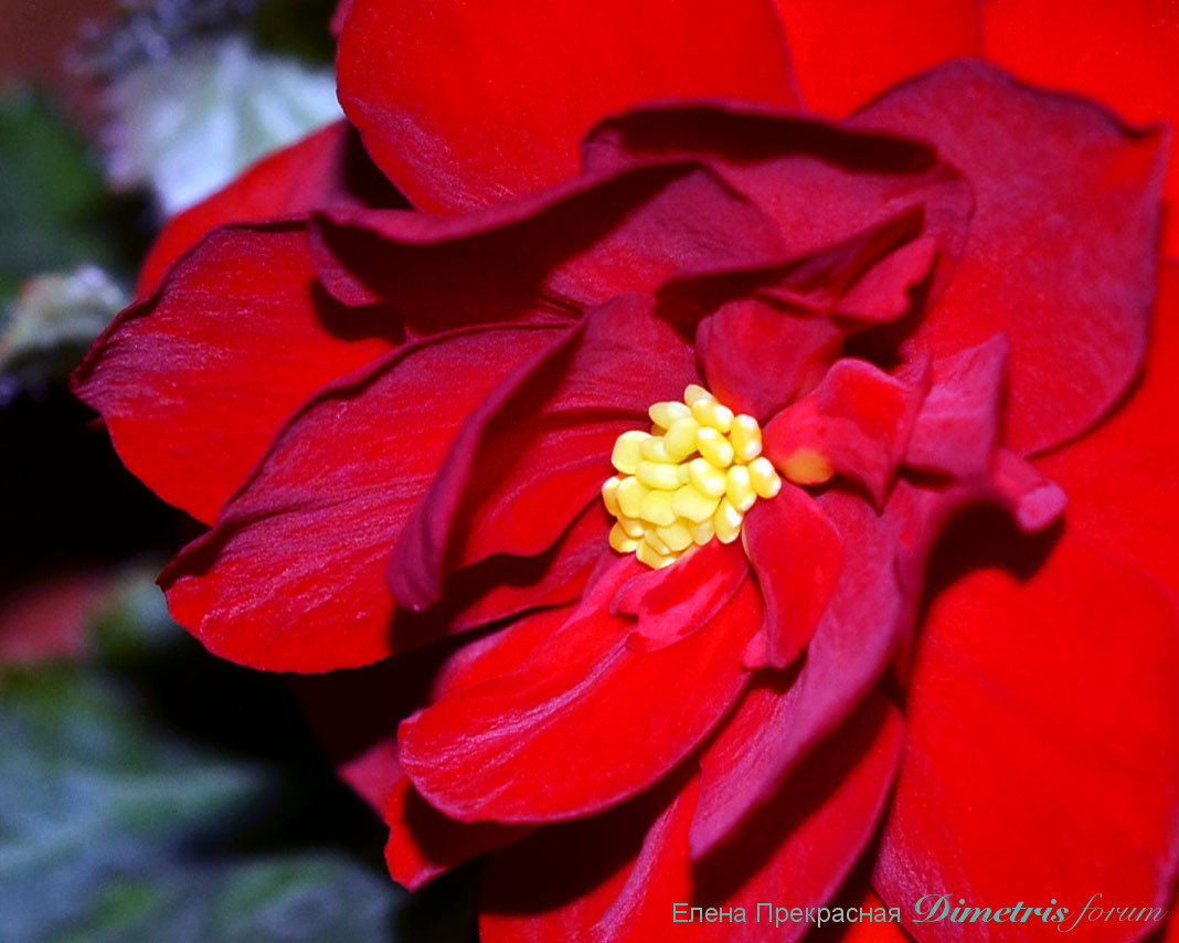 DSC_0160!!.jpg